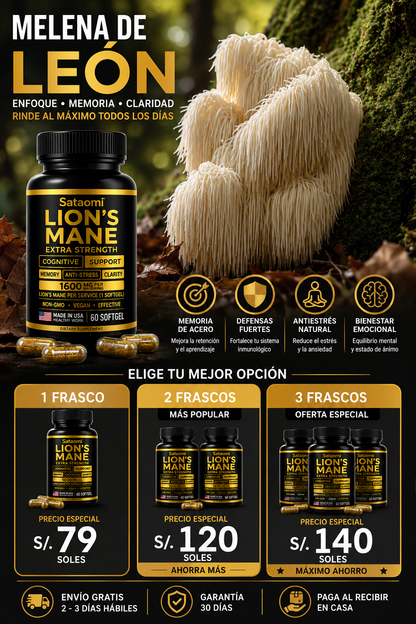 Recupera tu concentración con melena de LION